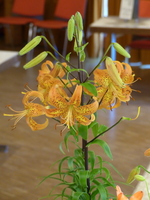 Foto: Dr. Peter Müller